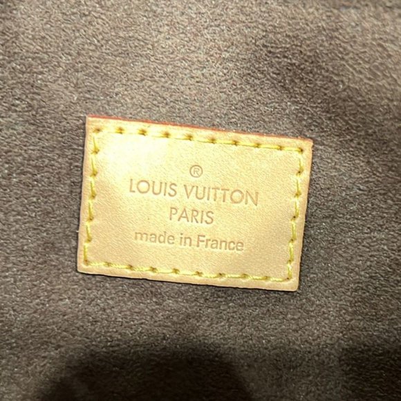 Metis Hobo Monogram Canvas Hobo Bag - Picture 11 of 11